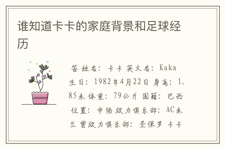 谁知道卡卡的家庭背景和足球经历
