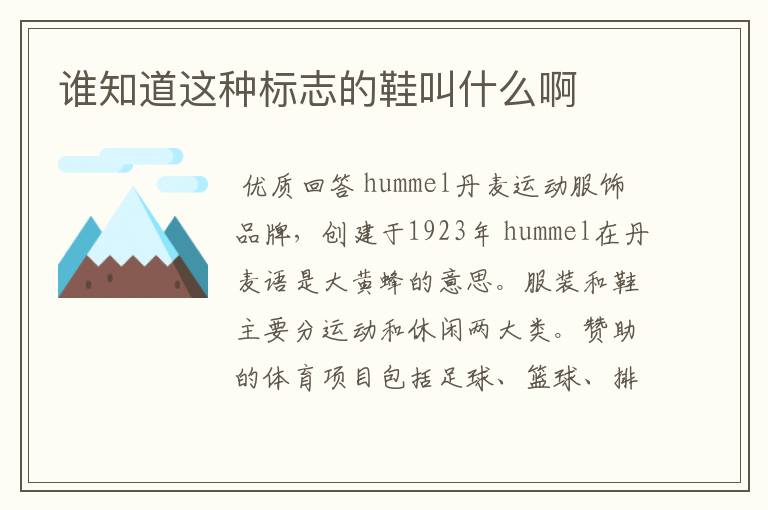 谁知道这种标志的鞋叫什么啊