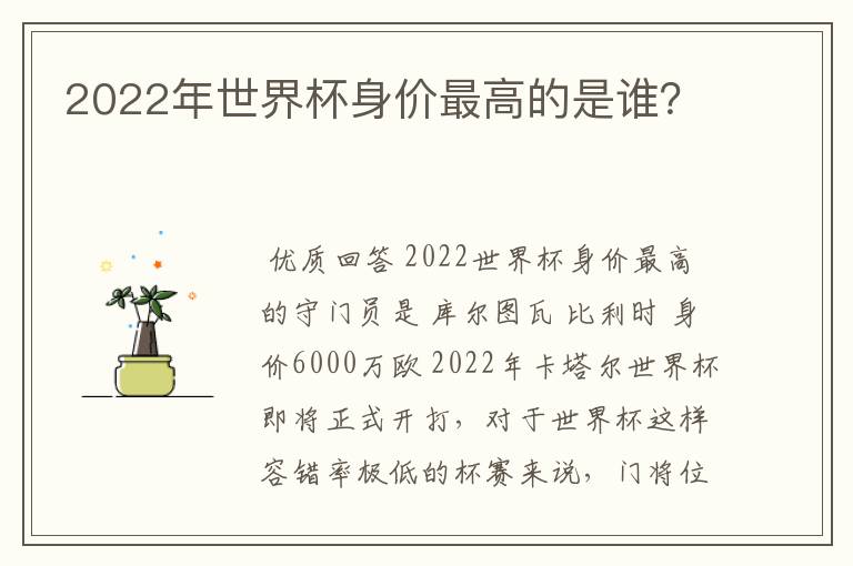2022年世界杯身价最高的是谁?