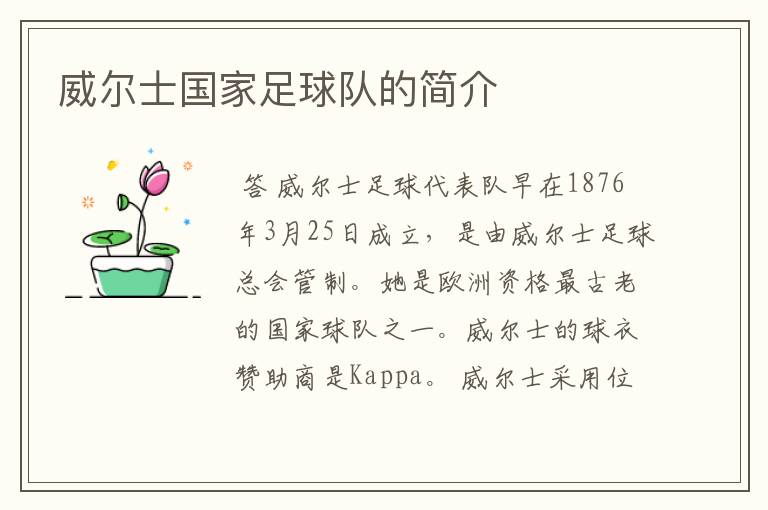 威尔士国家足球队的简介
