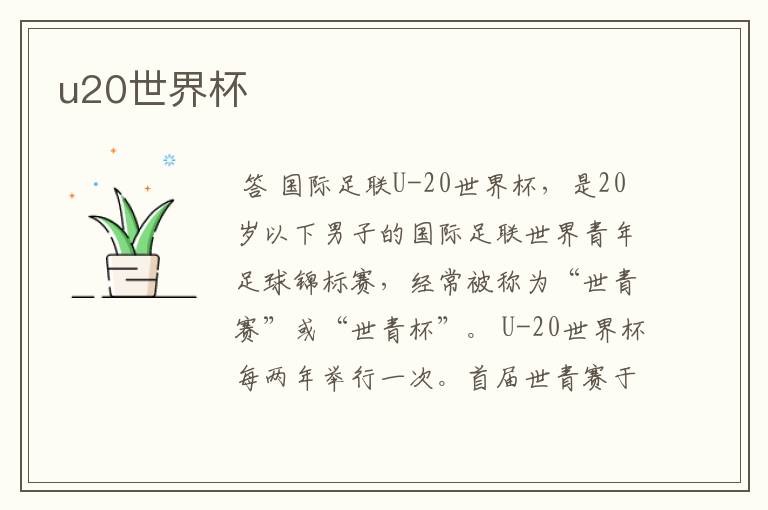 u20世界杯