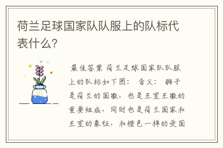 荷兰足球国家队队服上的队标代表什么?