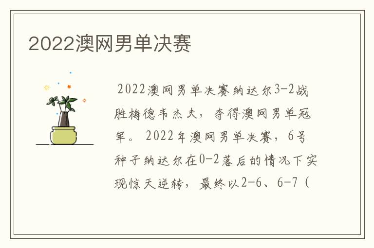 2022澳网男单决赛