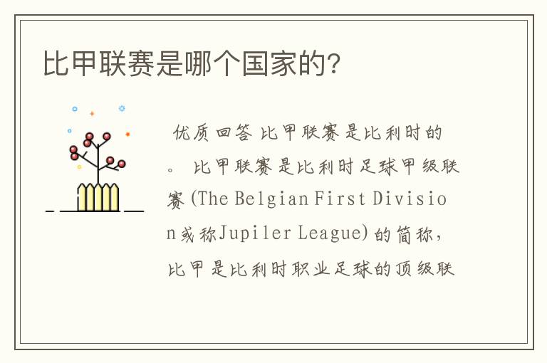 比甲联赛是哪个国家的?