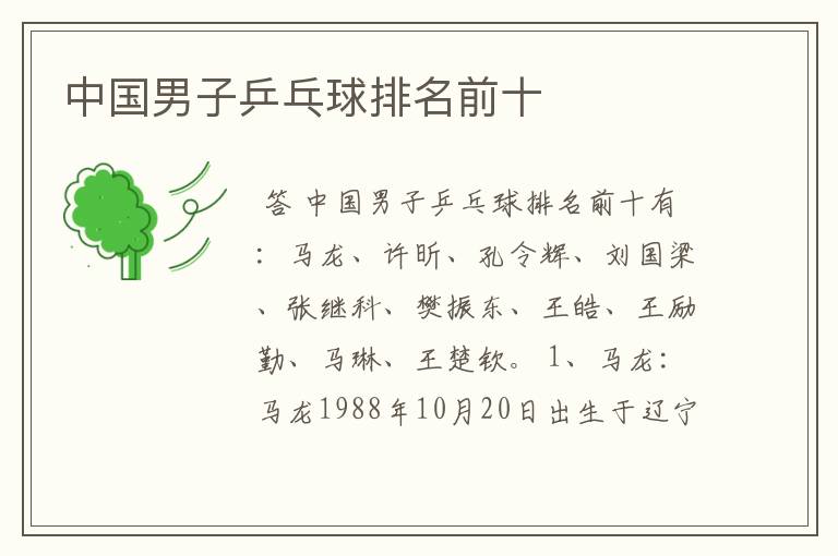 中国男子乒乓球排名前十