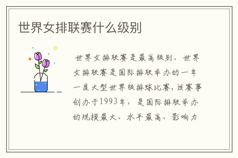 世界女排联赛什么级别