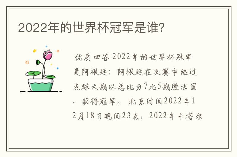 2022年的世界杯冠军是谁?