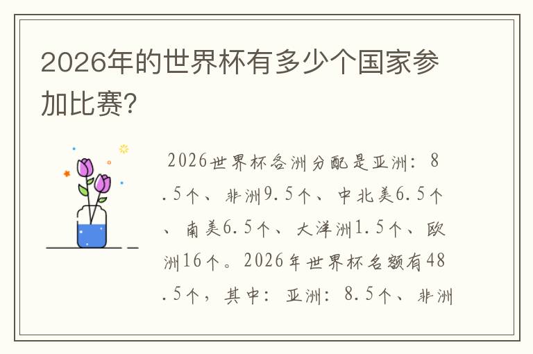 2026年的世界杯有多少个国家参加比赛?