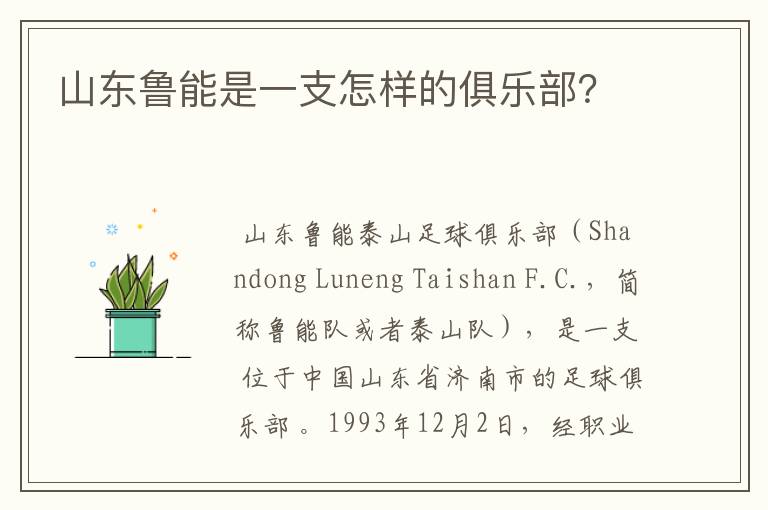 山东鲁能是一支怎样的俱乐部？