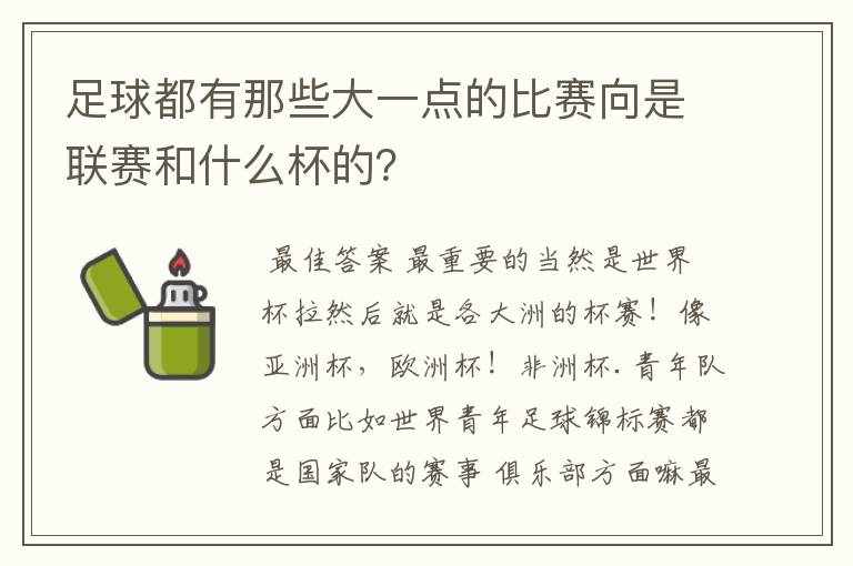 足球都有那些大一点的比赛向是联赛和什么杯的?