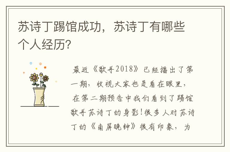 苏诗丁踢馆成功,苏诗丁有哪些个人经历?