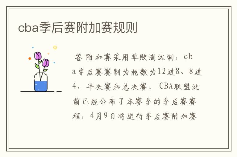 cba季后赛附加赛规则