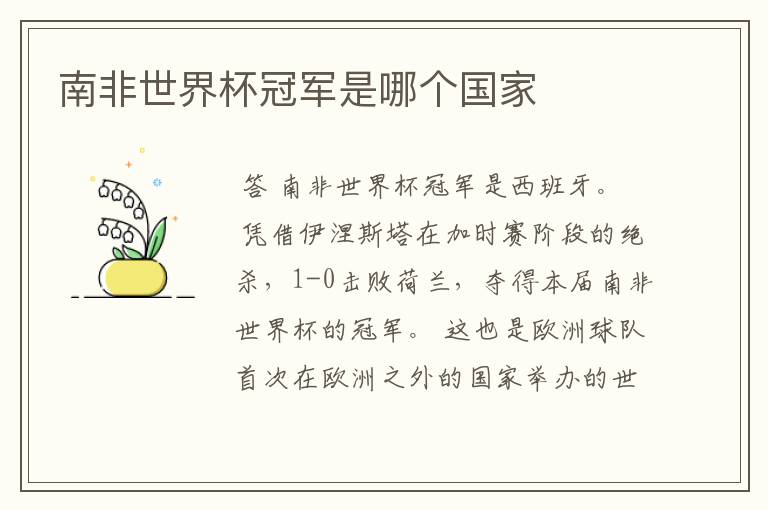 南非世界杯冠军是哪个国家