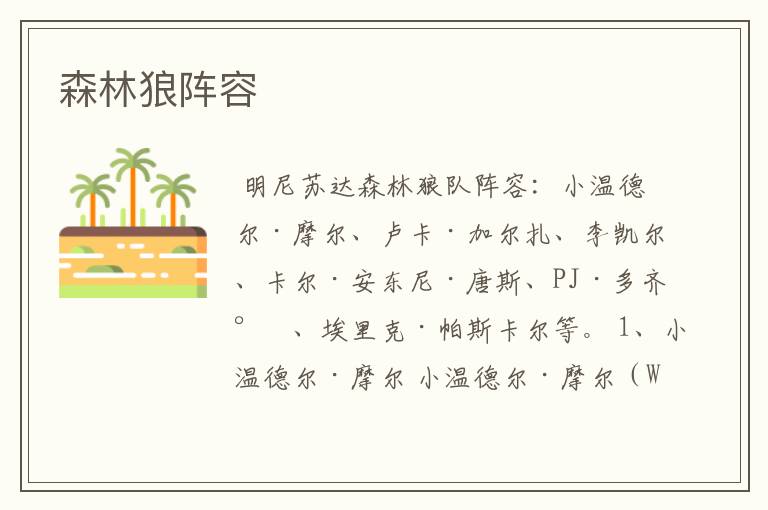 森林狼阵容