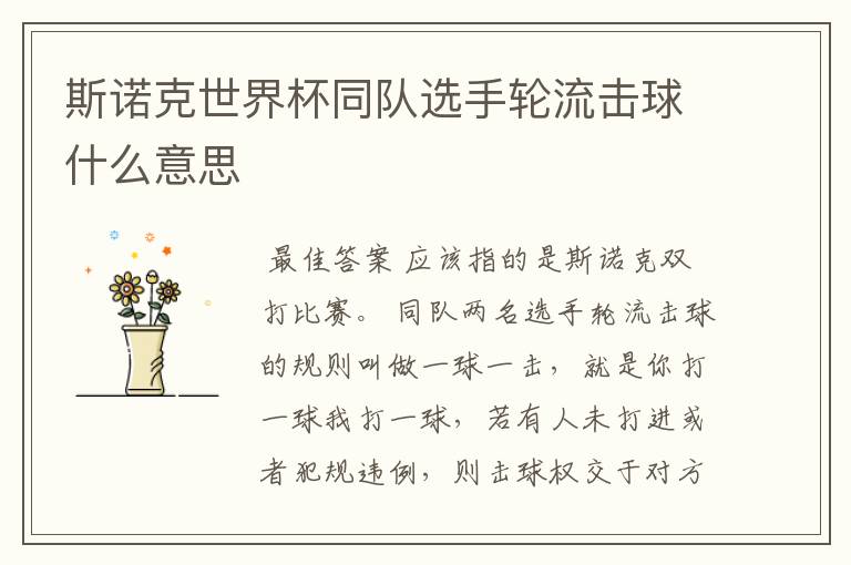 斯诺克世界杯同队选手轮流击球什么意思