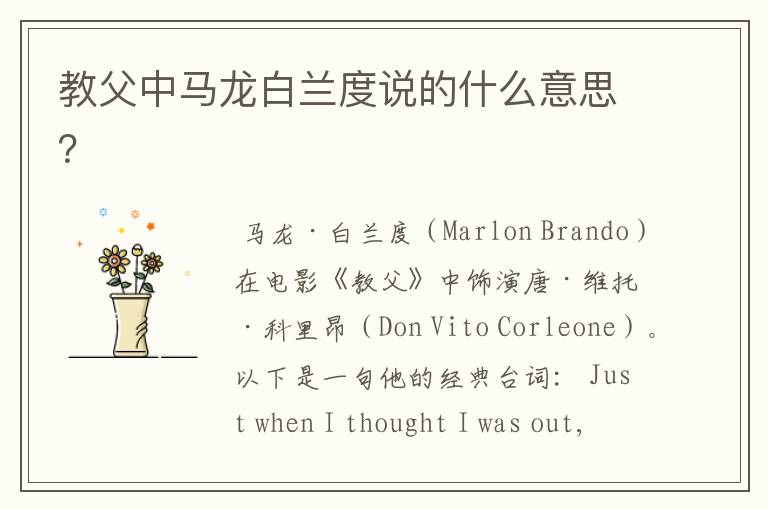教父中马龙白兰度说的什么意思?