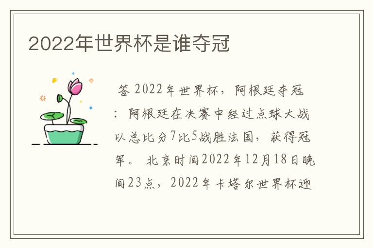2022年世界杯是谁夺冠