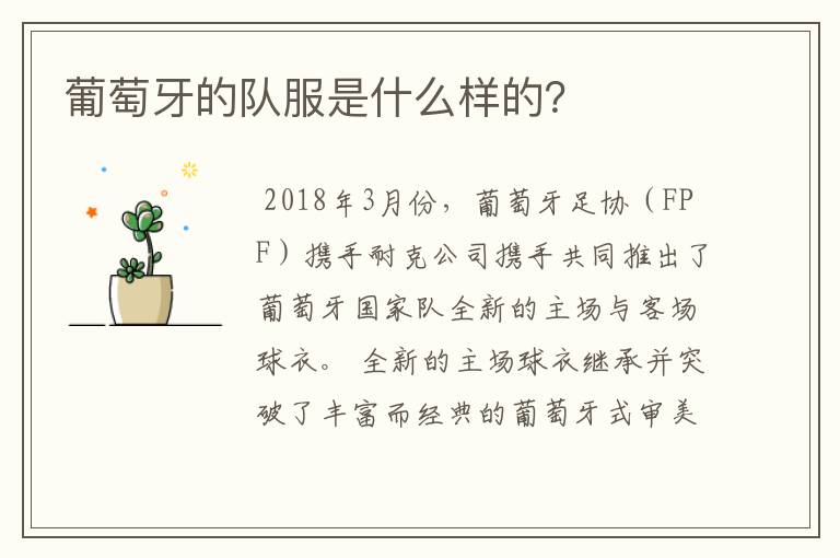 葡萄牙的队服是什么样的?
