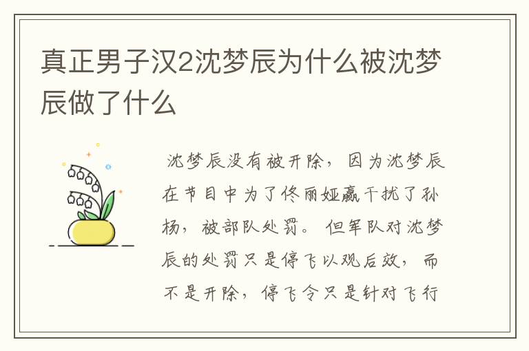 真正男子汉2沈梦辰为什么被沈梦辰做了什么