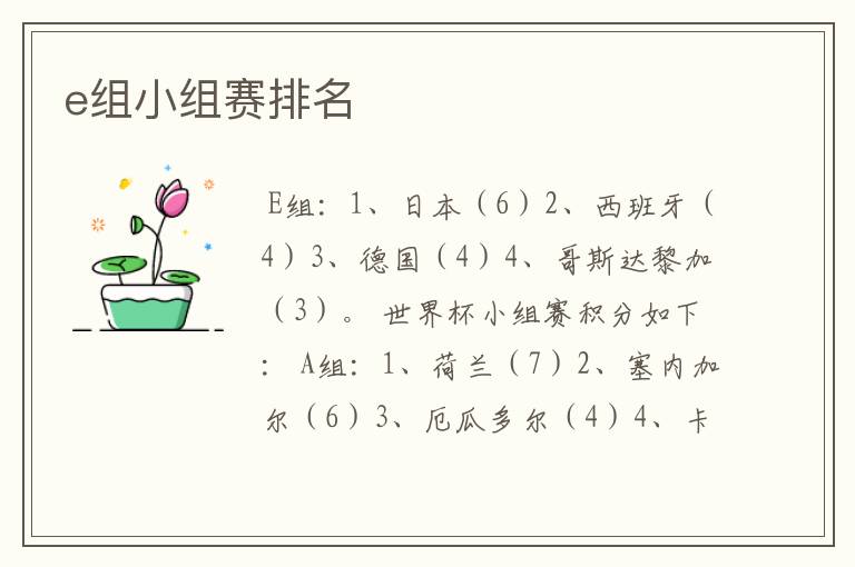 e组小组赛排名