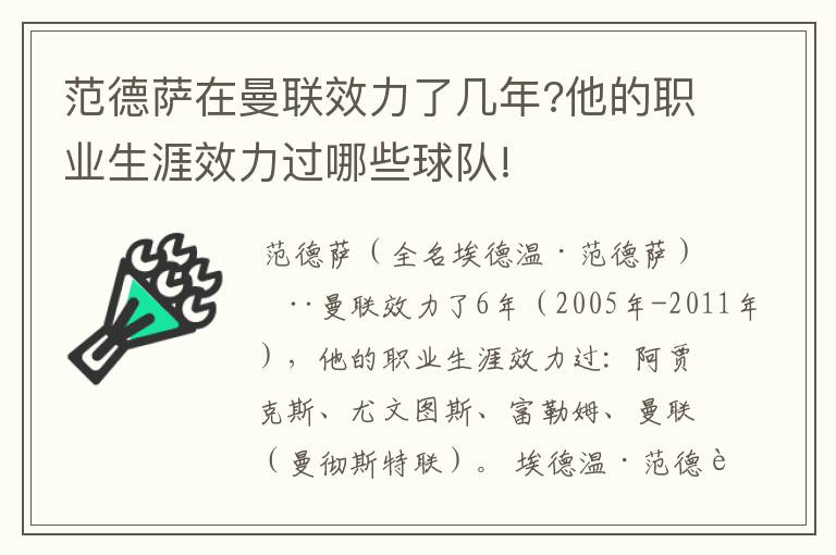 范德萨在曼联效力了几年?他的职业生涯效力过哪些球队!