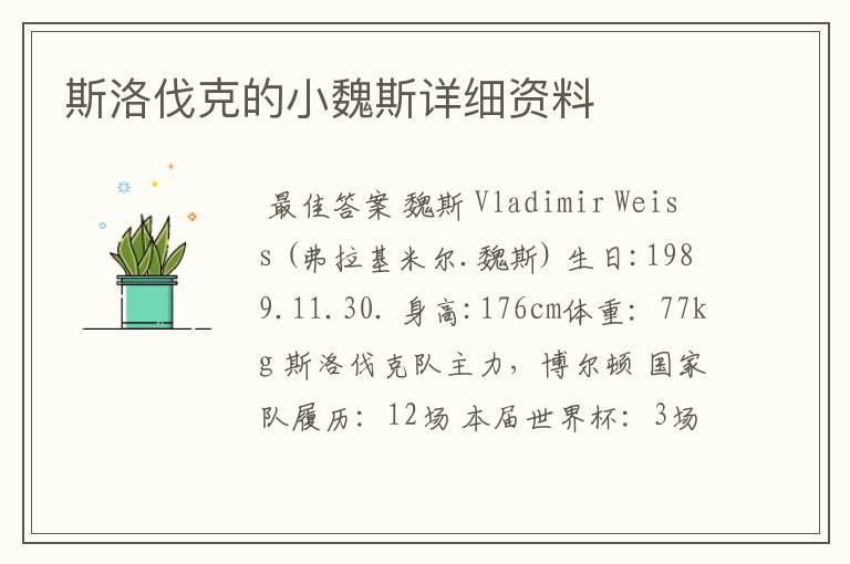 斯洛伐克的小魏斯详细资料