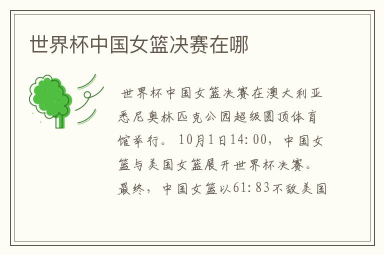 世界杯中国女篮决赛在哪