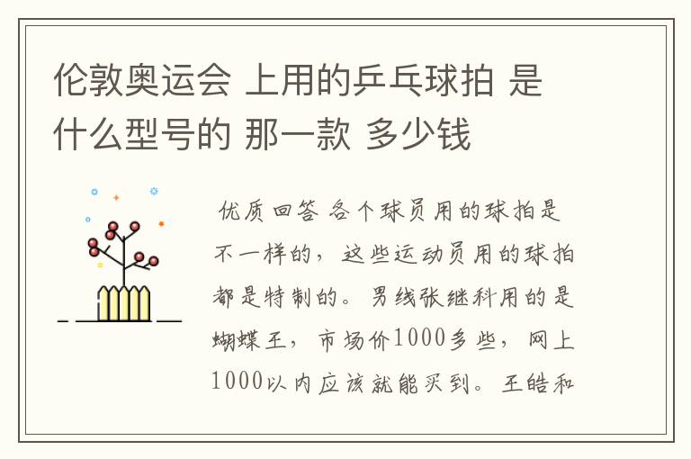 伦敦奥运会 上用的乒乓球拍 是什么型号的 那一款 多少钱