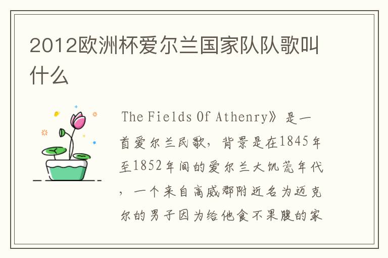 2012欧洲杯爱尔兰国家队队歌叫什么