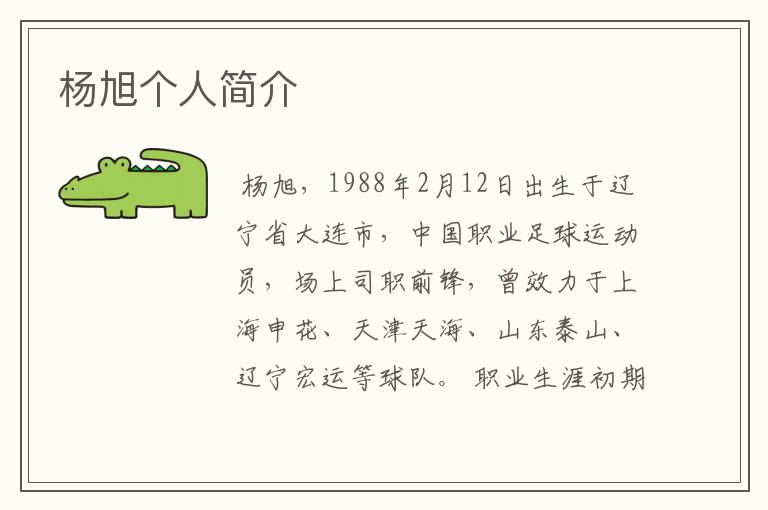 杨旭个人简介