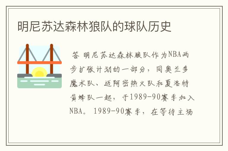 明尼苏达森林狼队的球队历史