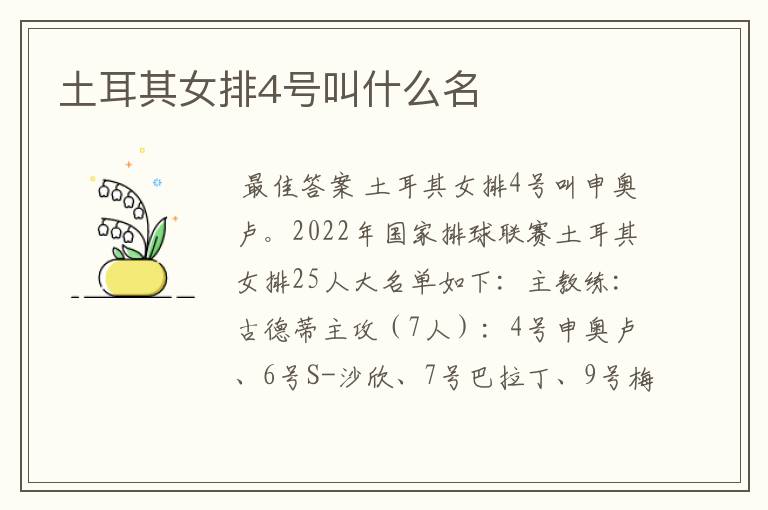 土耳其女排4号叫什么名