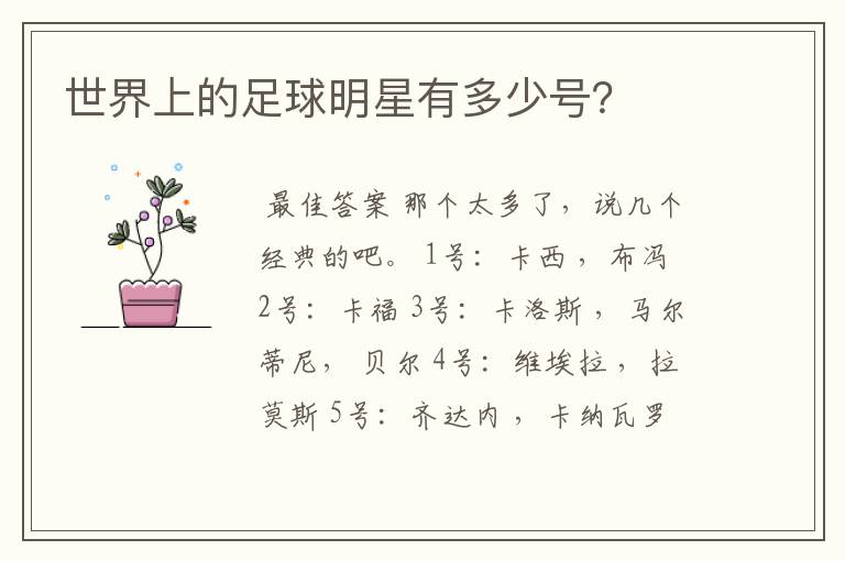 世界上的足球明星有多少号?