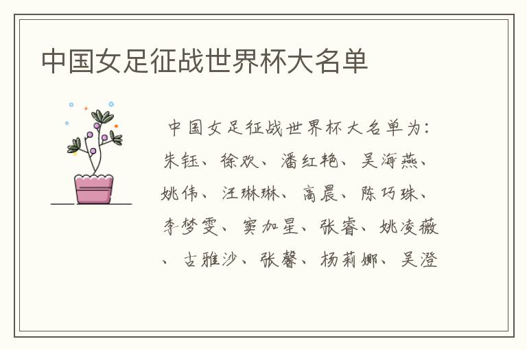 中国女足征战世界杯大名单