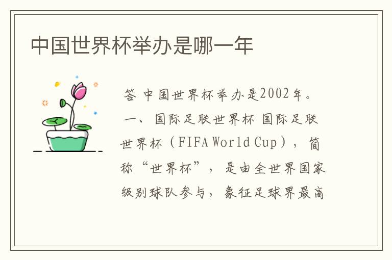 中国世界杯举办是哪一年