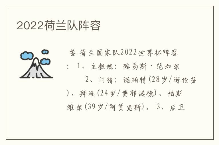 2022荷兰队阵容