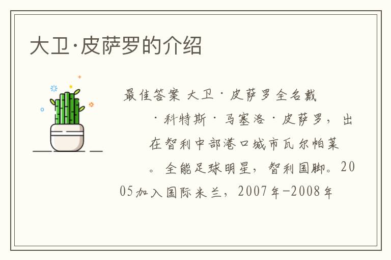 大卫·皮萨罗的介绍