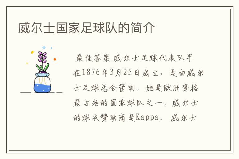 威尔士国家足球队的简介