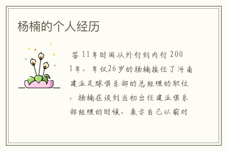 杨楠的个人经历
