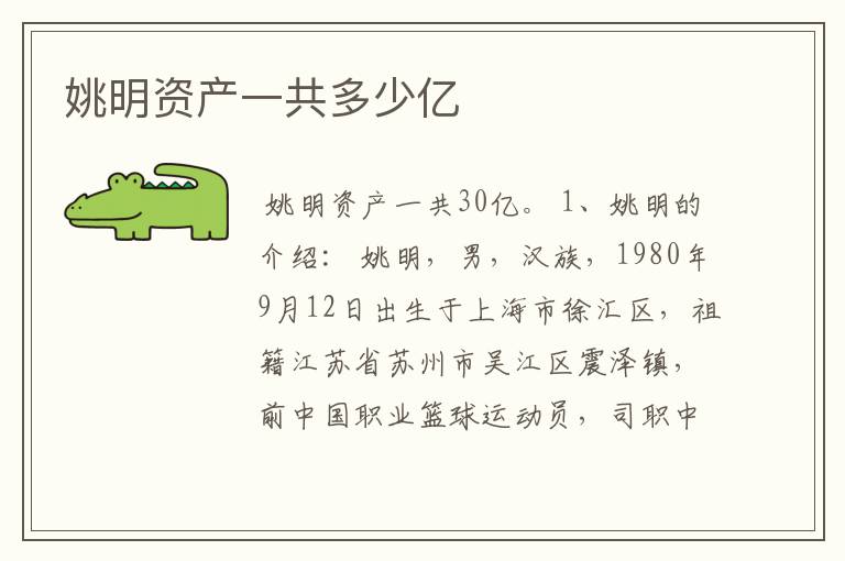 姚明资产一共多少亿
