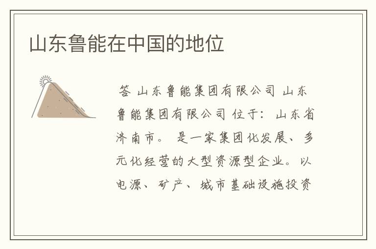 山东鲁能在中国的地位
