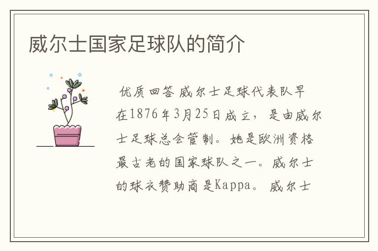 威尔士国家足球队的简介