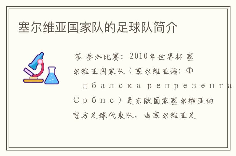 塞尔维亚国家队的足球队简介