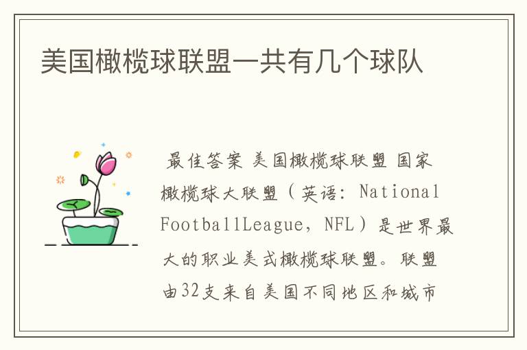 美国橄榄球联盟一共有几个球队