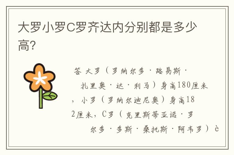 大罗小罗C罗齐达内分别都是多少高?