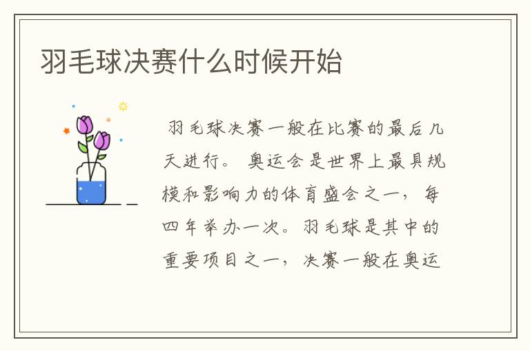 羽毛球决赛什么时候开始