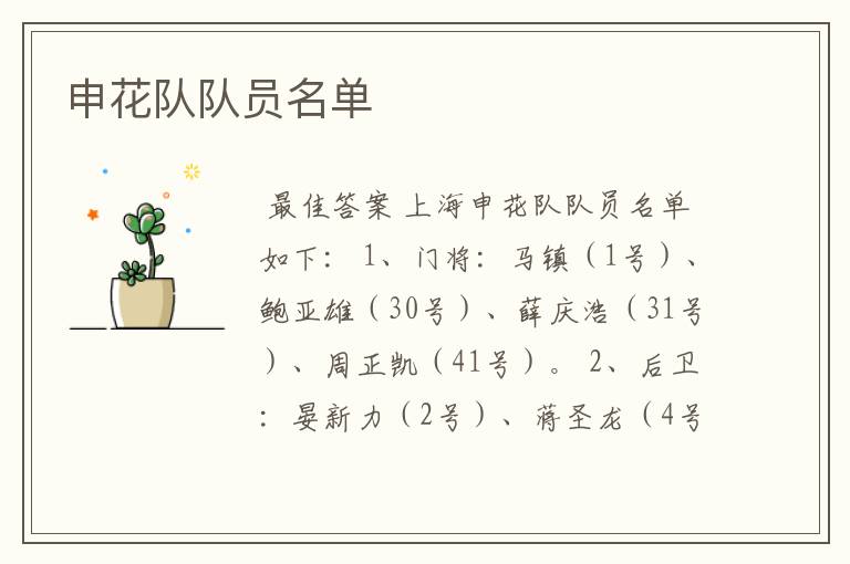 申花队队员名单