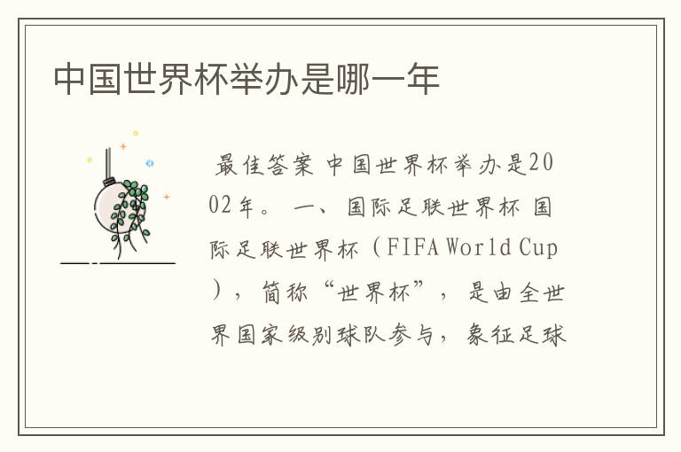 中国世界杯举办是哪一年