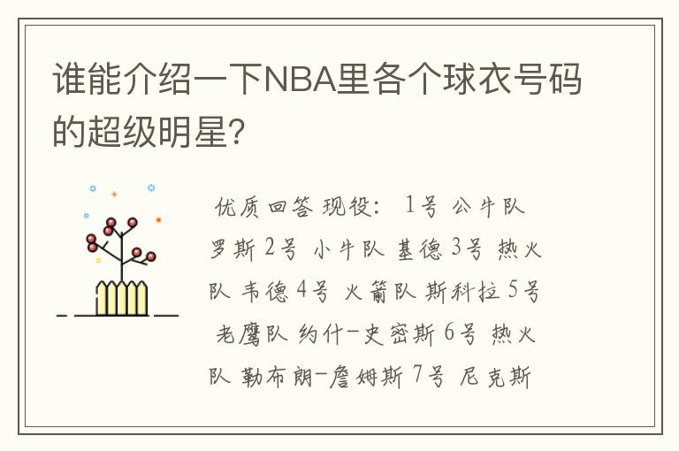 谁能介绍一下NBA里各个球衣号码的超级明星?