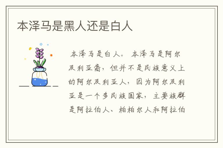 本泽马是黑人还是白人